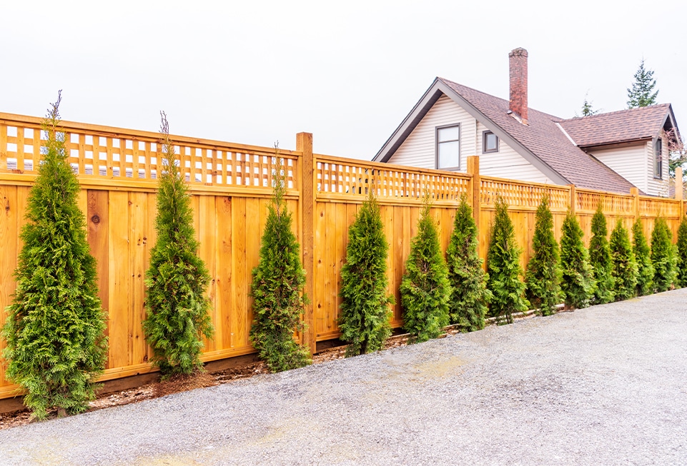 Cedar Wood Fence Installation in Indianapolis, IN